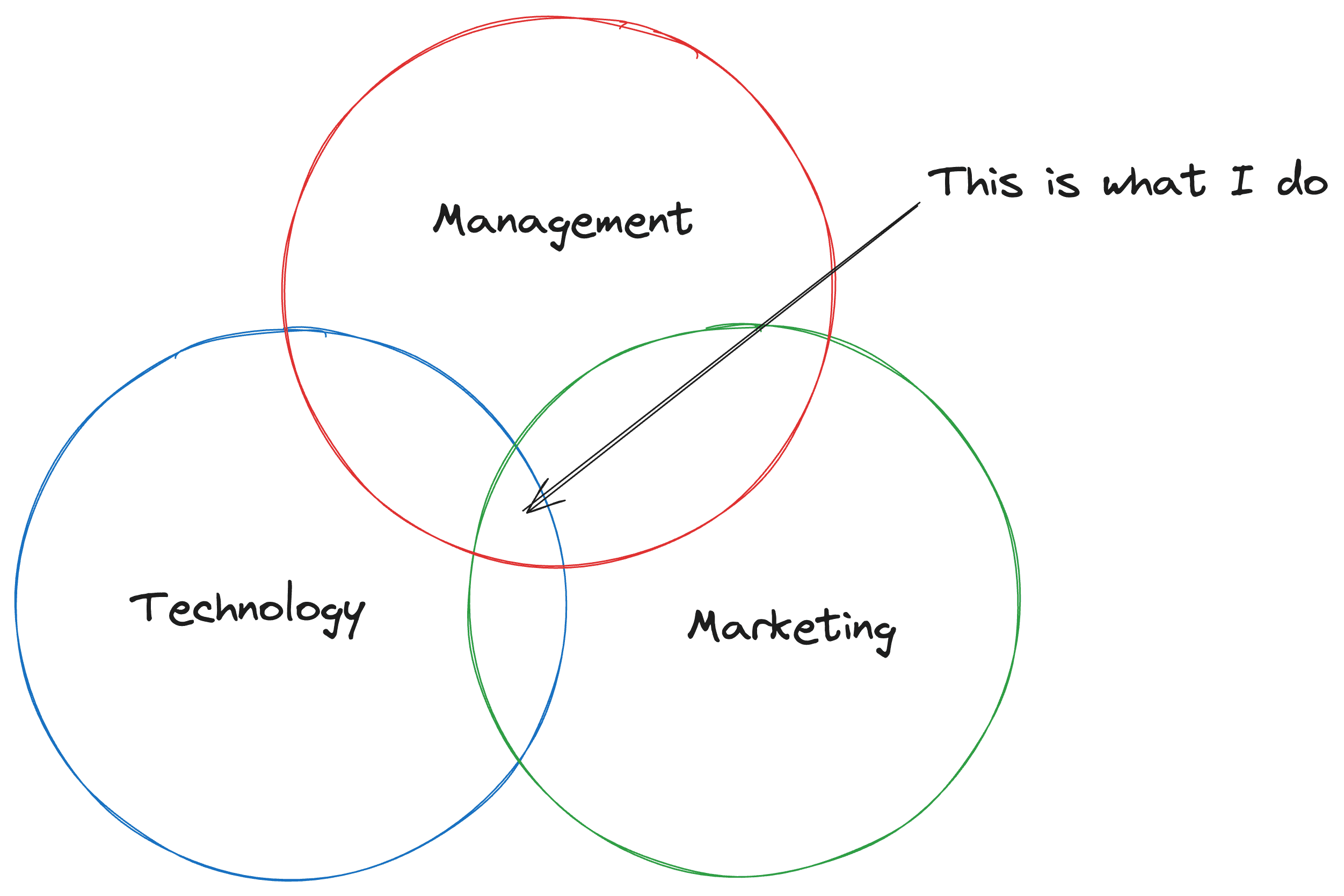 what angelo maiuri does for a living