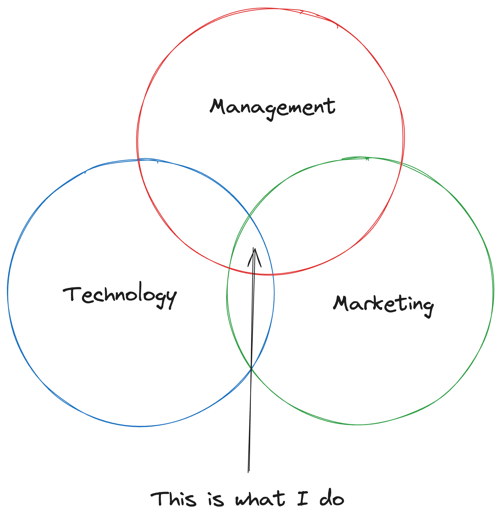 what angelo maiuri does for a living